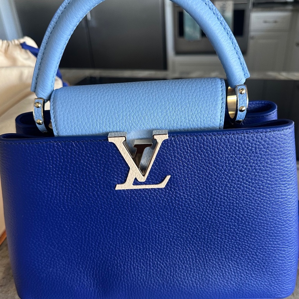 Louis Vuitton Cappuccinos taurillon handbag
